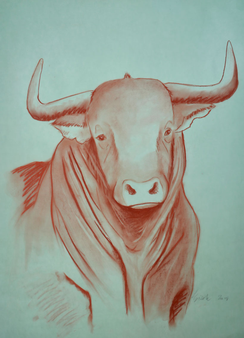 RED BULL - 25 animal-painting Thierry Bisch Contemporary painter animals painting art  nature biodiversity conservation Monaco Prince-Albert Prince-Albert-of-Monaco 