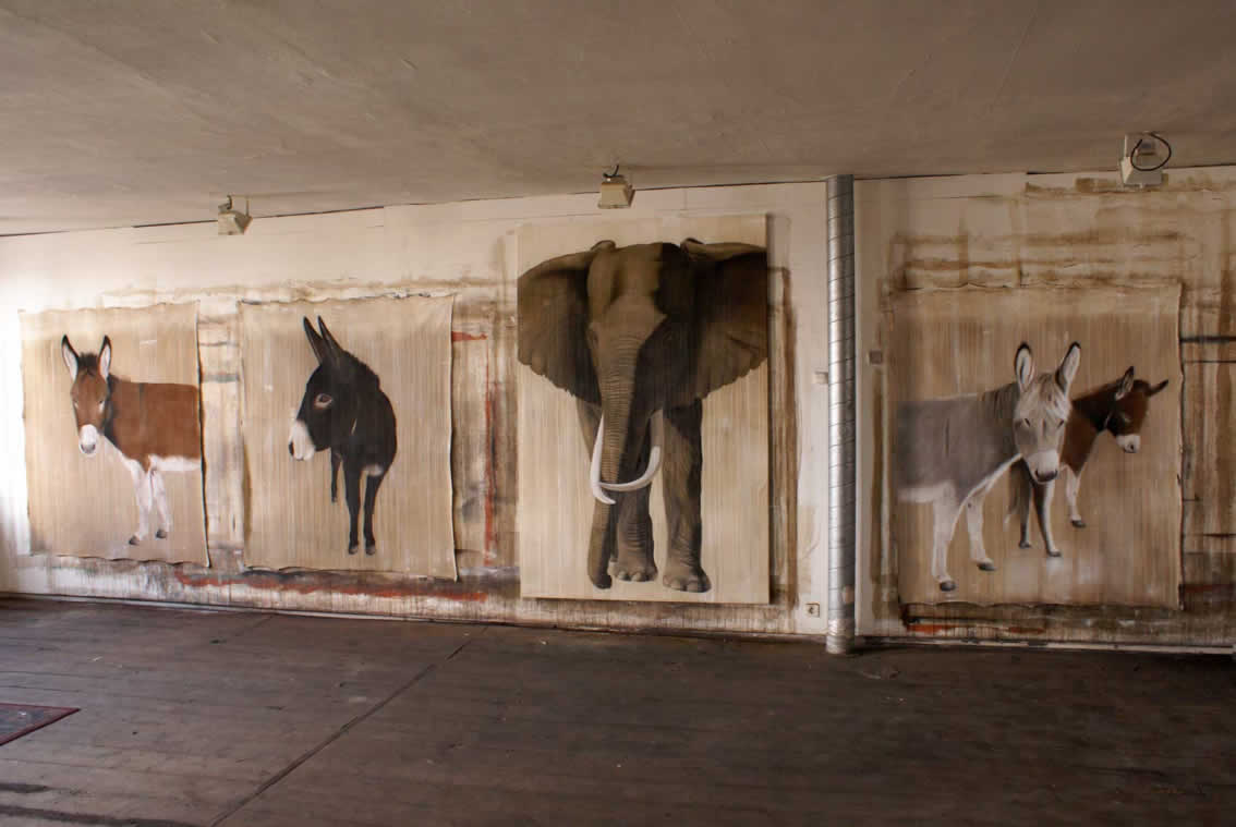 Timba Anes elephant-donkey Thierry Bisch Contemporary painter animals painting art  nature biodiversity conservation Monaco Prince-Albert Prince-Albert-of-Monaco 