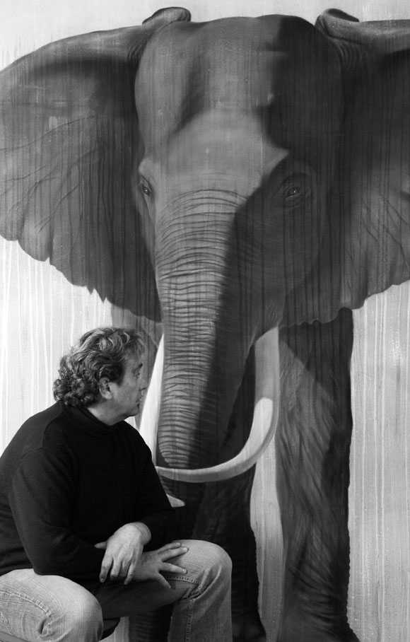 Timba elephant Thierry Bisch Contemporary painter animals painting art  nature biodiversity conservation Monaco Prince-Albert Prince-Albert-of-Monaco 