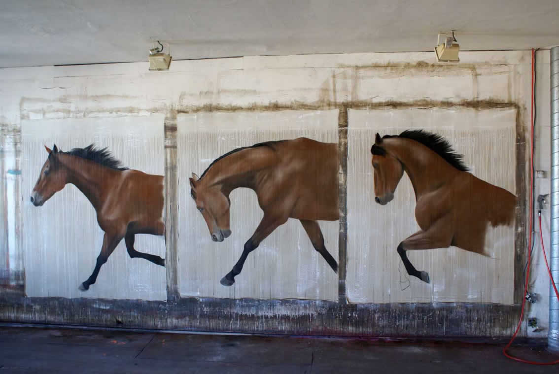 Newmac arabian-thoroughbred-horse Thierry Bisch Contemporary painter animals painting art  nature biodiversity conservation Monaco Prince-Albert Prince-Albert-of-Monaco 