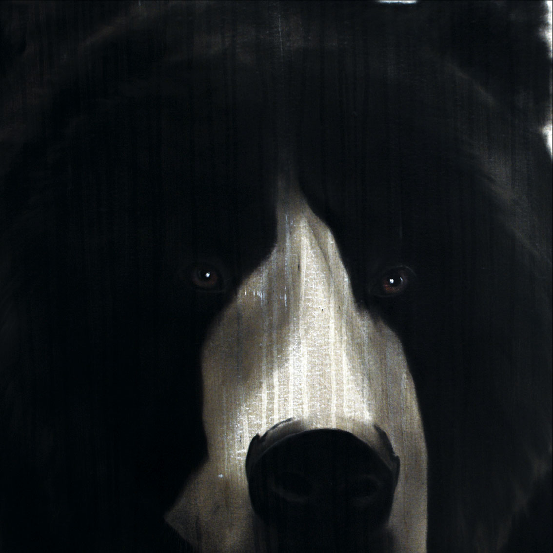 GRIZZLY bear Thierry Bisch Contemporary painter animals painting art  nature biodiversity conservation Monaco Prince-Albert Prince-Albert-of-Monaco 