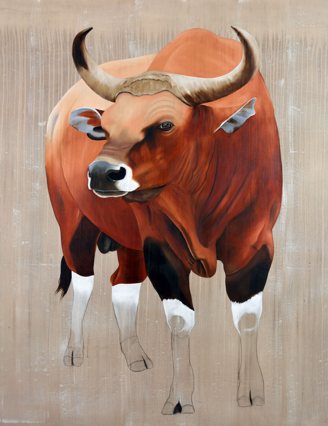 BOS JAVANICUS banteng-bos-javanicus-asian-red-bull-threatened-endangered-extinction Thierry Bisch Contemporary painter animals painting art  nature biodiversity conservation 