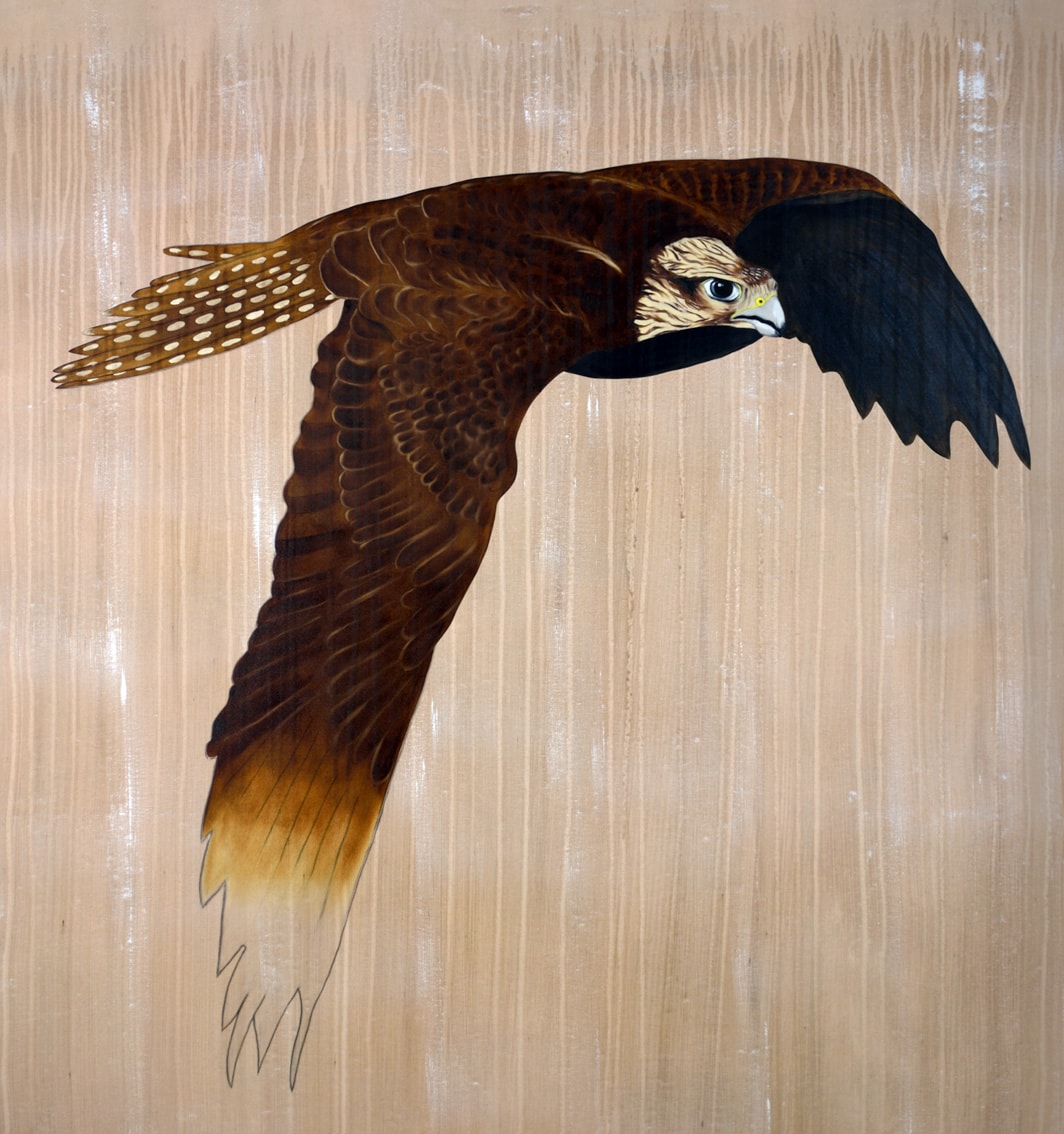 FALCO CHERRUG saker-falcon-falco-cherrug-threatened-endangered-extinction-thierry-bisch Thierry Bisch Contemporary painter animals painting art  nature biodiversity conservation Monaco Prince-Albert Prince-Albert-of-Monaco 