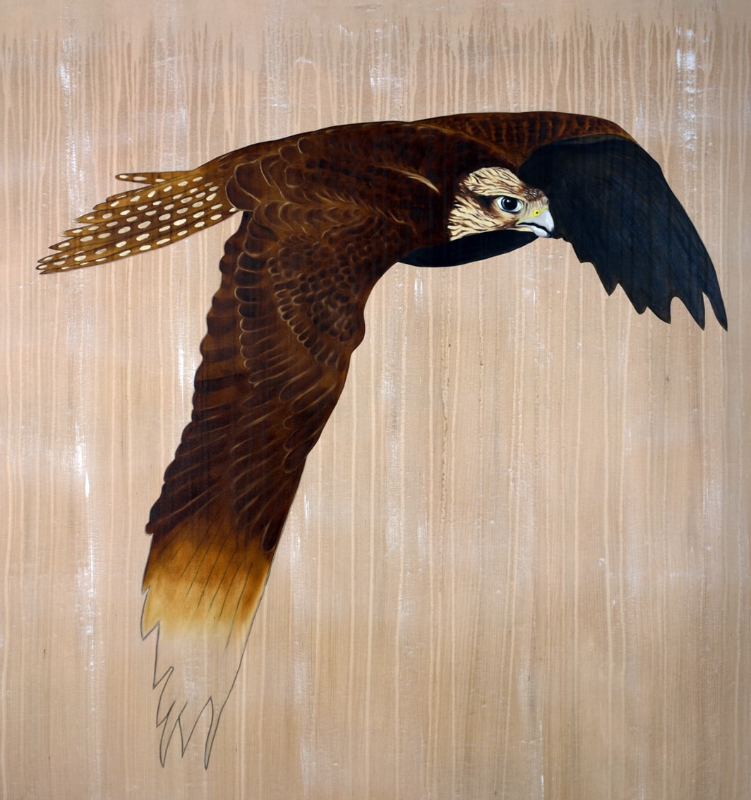 FALCO CHERRUG saker-falcon-falco-cherrug-threatened-endangered-extinction-thierry-bisch Thierry Bisch Contemporary painter animals painting art decoration nature biodiversity conservation