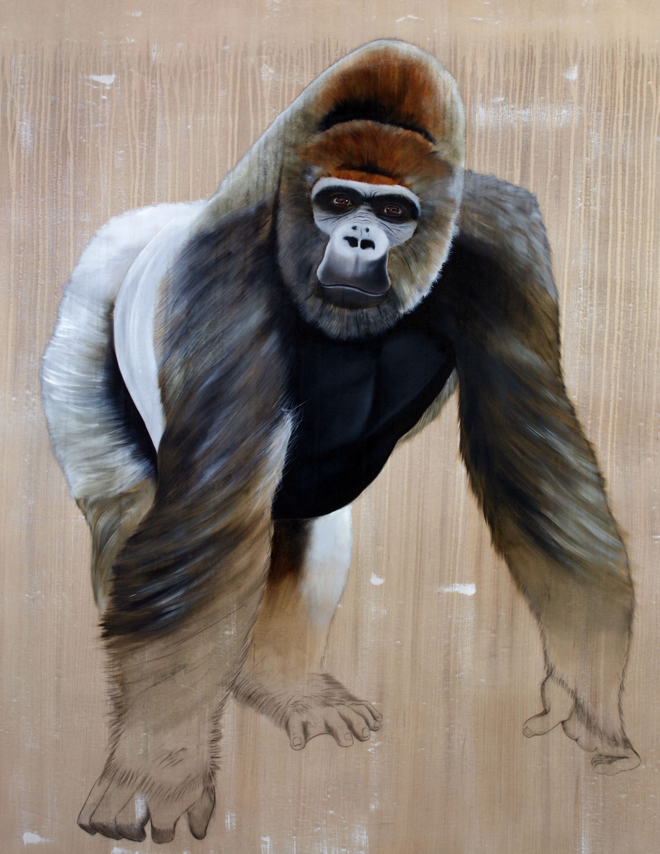 Gorilla gorilla  gorilla-ape-silverback-threatened-endangered-extinction Thierry Bisch Contemporary painter animals painting art  nature biodiversity conservation Monaco Prince-Albert Prince-Albert-of-Monaco 
