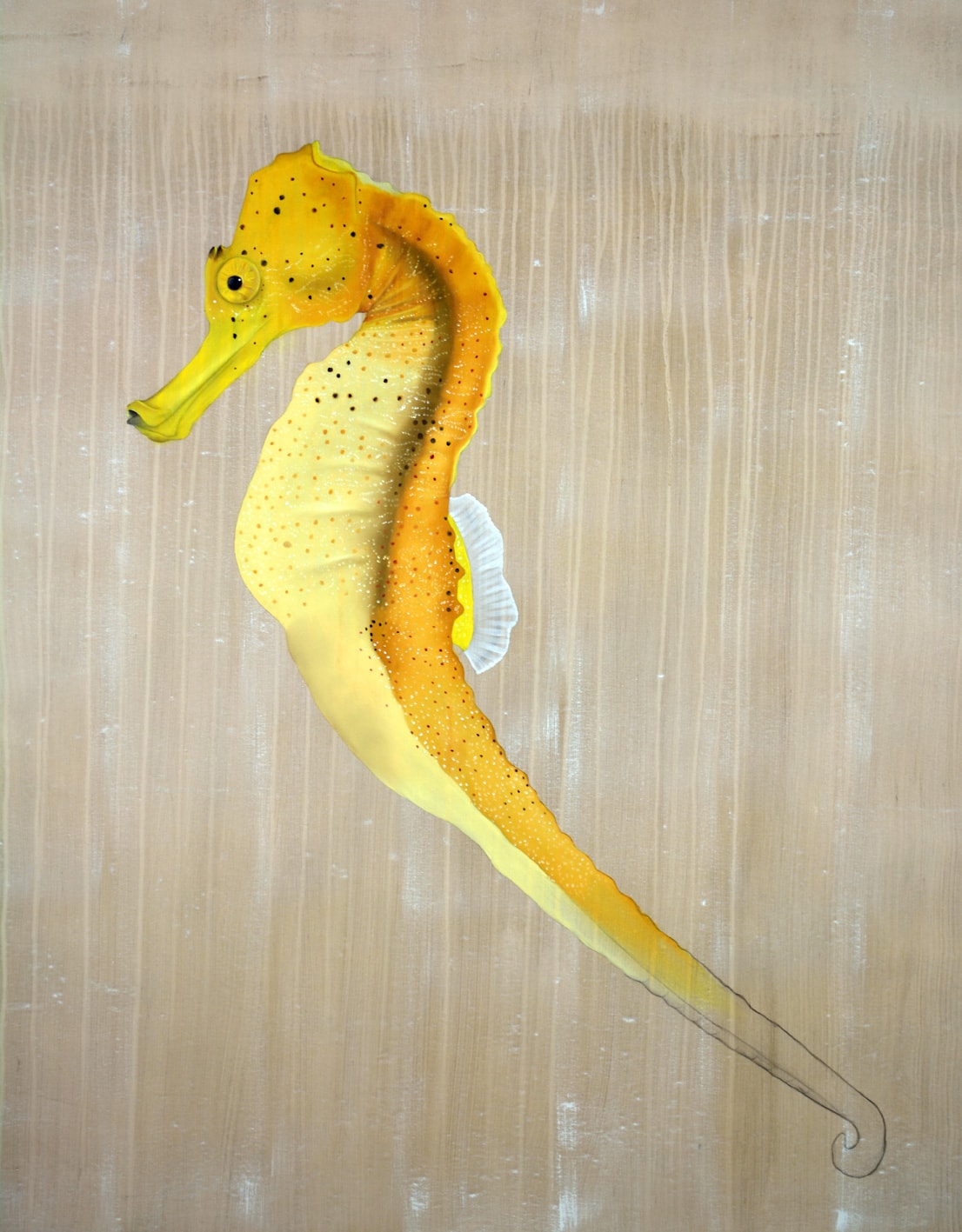 HIPPOCAMPUS GUTTULATUS seahorse-threatened-endangered-extinction Thierry Bisch Contemporary painter animals painting art  nature biodiversity conservation Monaco Prince-Albert Prince-Albert-of-Monaco 