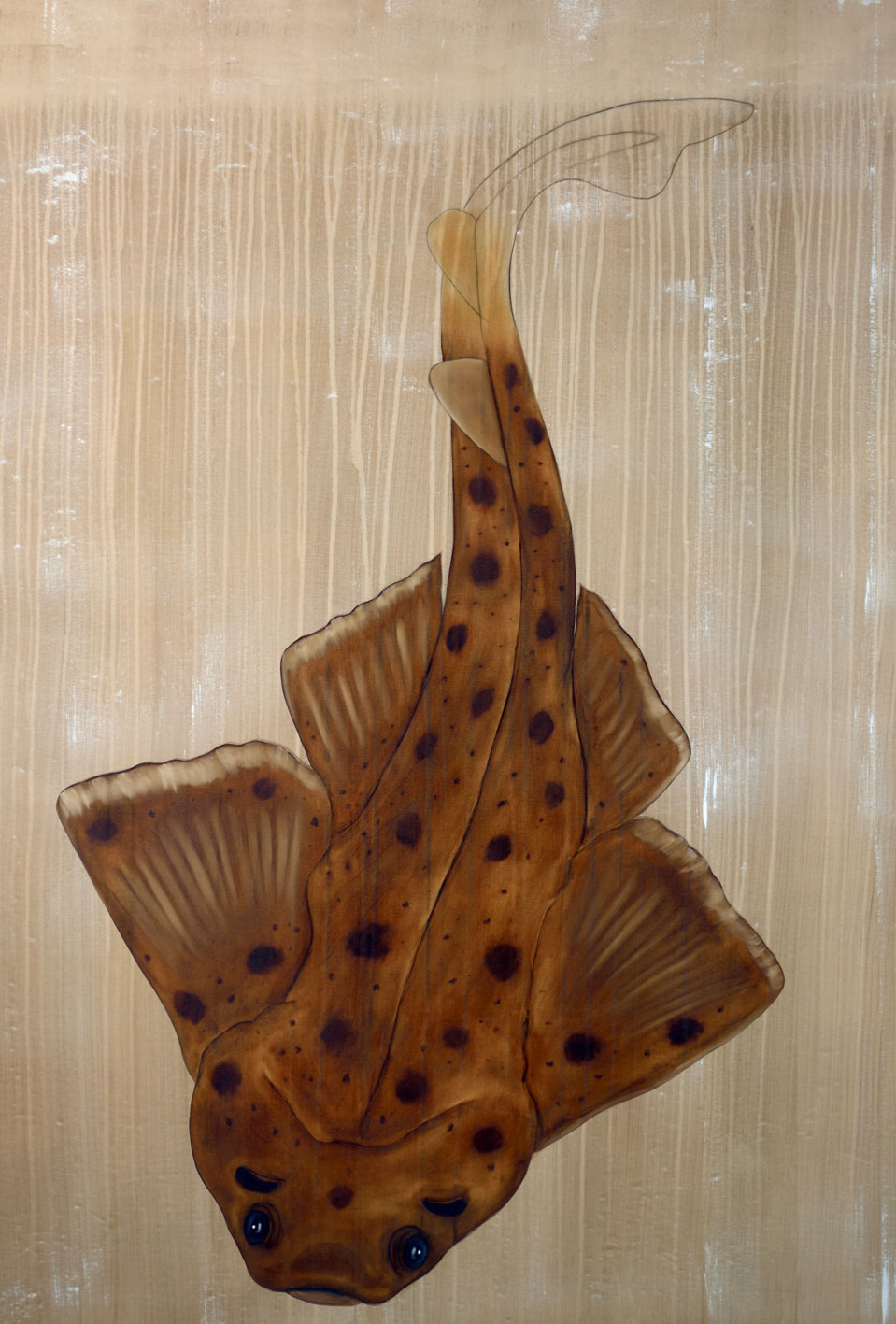 SQUATINA squatina angel-shark-angelshark-threatened-endangered-extinction Thierry Bisch Contemporary painter animals painting art  nature biodiversity conservation Monaco Prince-Albert Prince-Albert-of-Monaco 