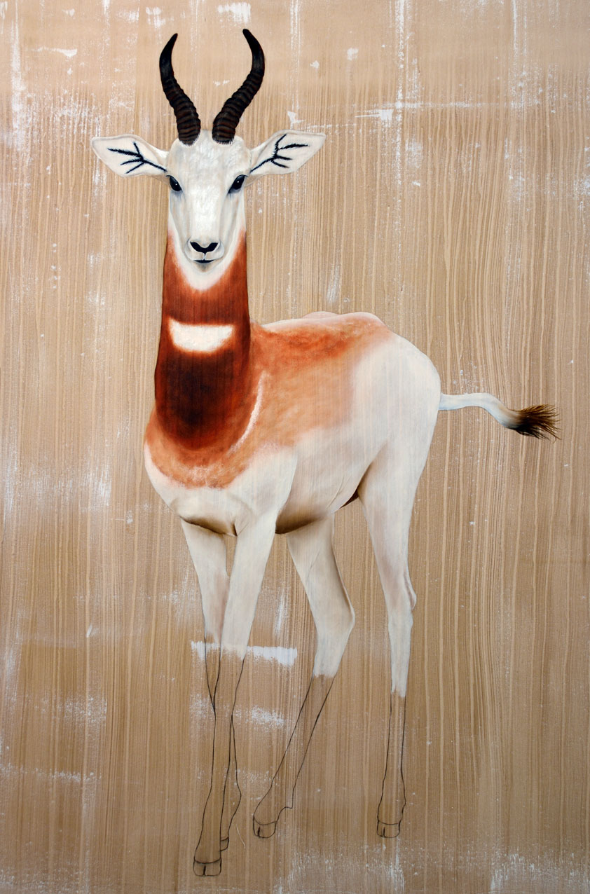 GAZELLA-DAMA dama-damas-gazelle-addra-delete-threatened-endangered-extinction Thierry Bisch Contemporary painter animals painting art  nature biodiversity conservation Monaco Prince-Albert Prince-Albert-of-Monaco 