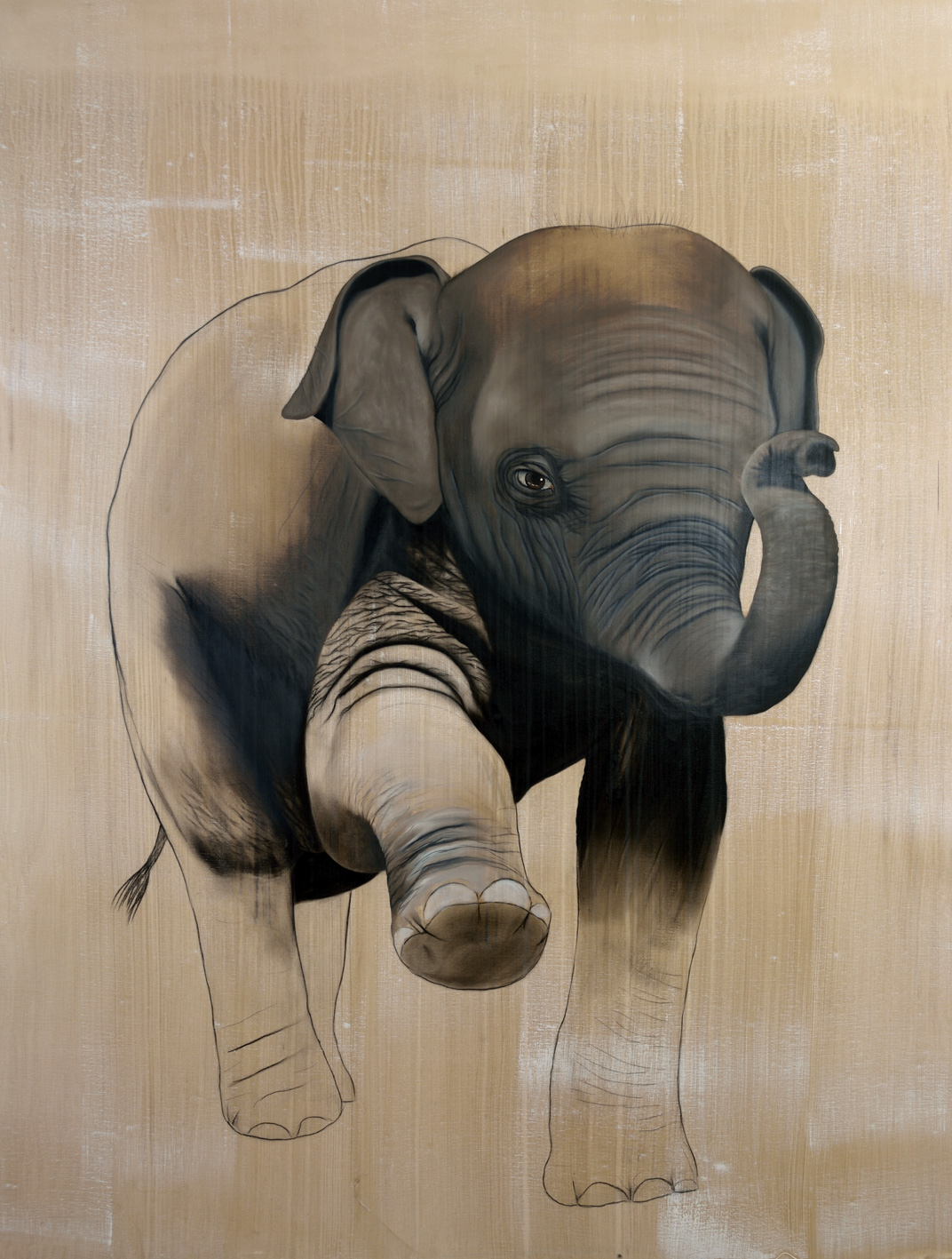 ELEPHAS-MAXIMUS elephant-asiatic-indian-baby-elephas-maximus-delete-threatened-endangered-extinction
 Thierry Bisch Contemporary painter animals painting art  nature biodiversity conservation 