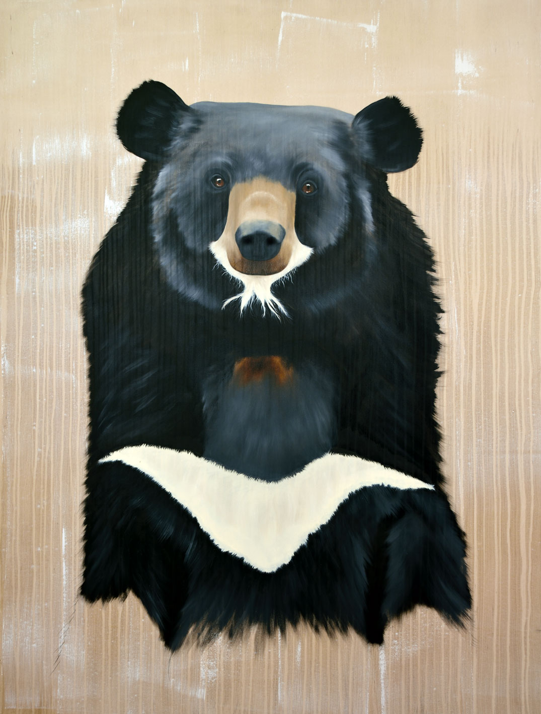 URSUS THIBETANUS asian-bear-tibetan-ursusthibetanus Thierry Bisch Contemporary painter animals painting art  nature biodiversity conservation Monaco Prince-Albert Prince-Albert-of-Monaco 