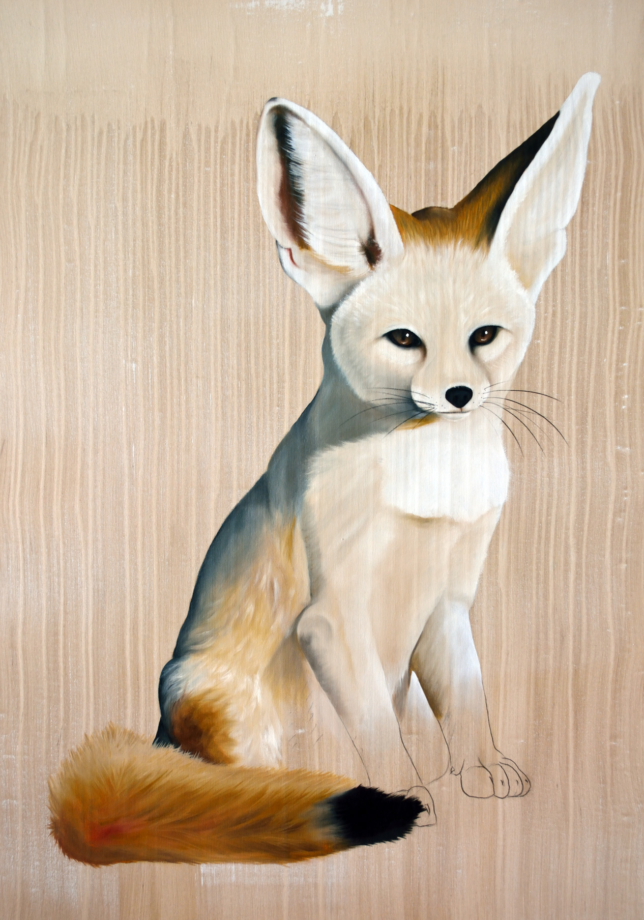 VULPES ZERDA fennec-fox Thierry Bisch Contemporary painter animals painting art  nature biodiversity conservation Monaco Prince-Albert Prince-Albert-of-Monaco 