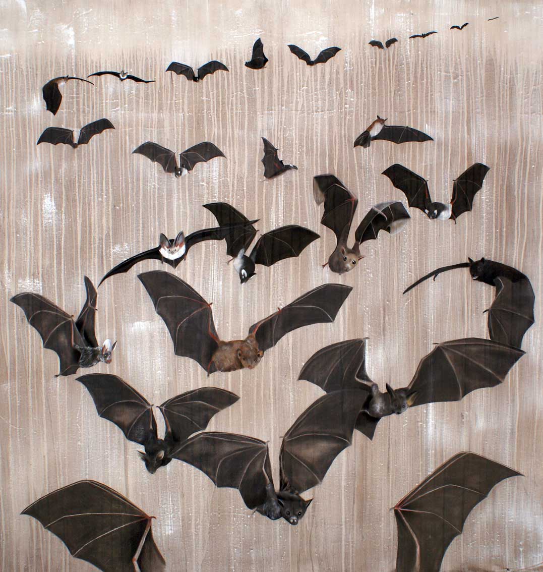 Desmodus rotundus bats-threatened-endangered-extinction Thierry Bisch Contemporary painter animals painting art  nature biodiversity conservation Monaco Prince-Albert Prince-Albert-of-Monaco 
