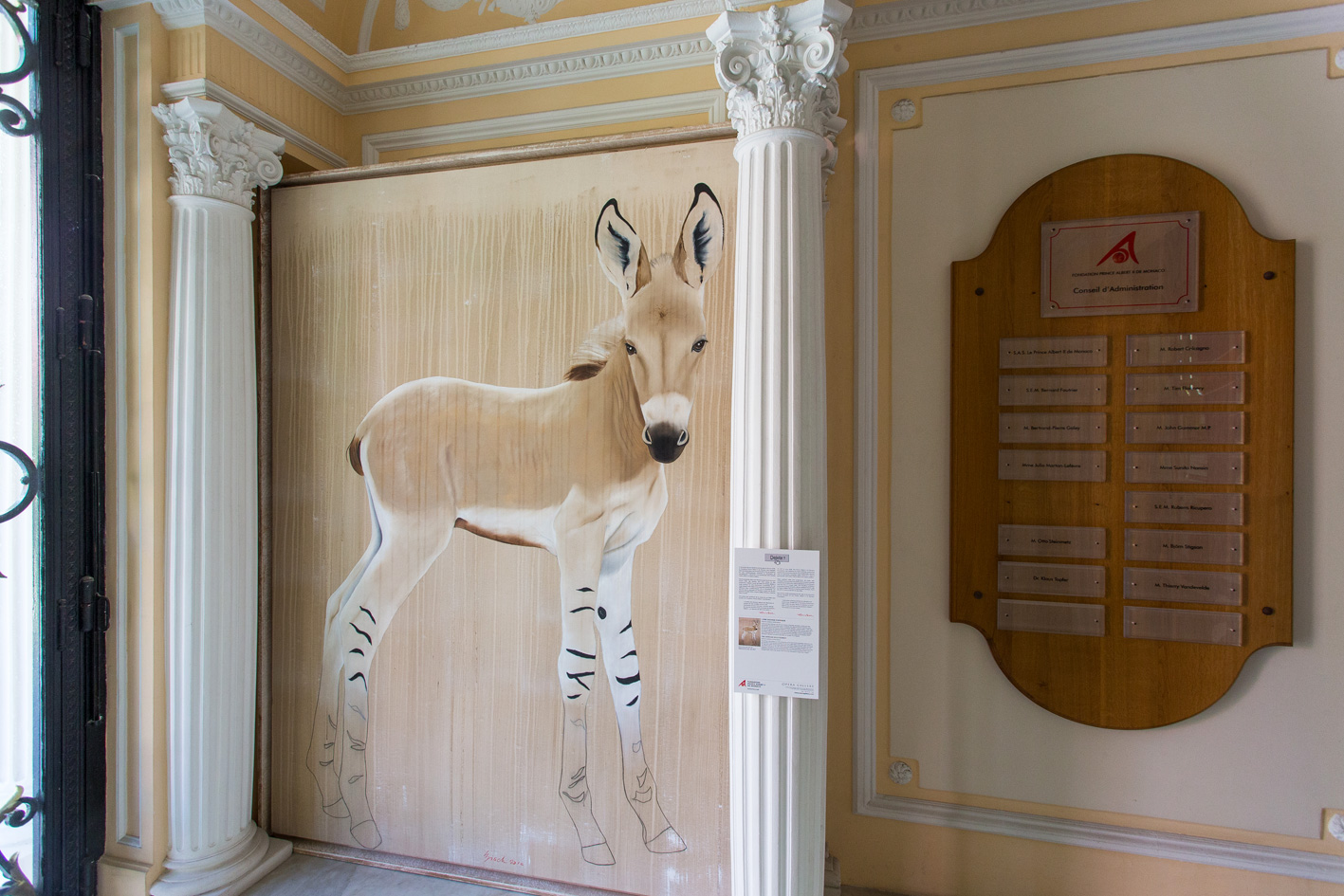 FONDATION PRINCE ALBERT II DE MONACO african-wildass-wild-donkey-equus-asinus-africanus-threatened-endangered-thierry-bischextinction Thierry Bisch Contemporary painter animals painting art  nature biodiversity conservation Monaco Prince-Albert Prince-Albert-of-Monaco 