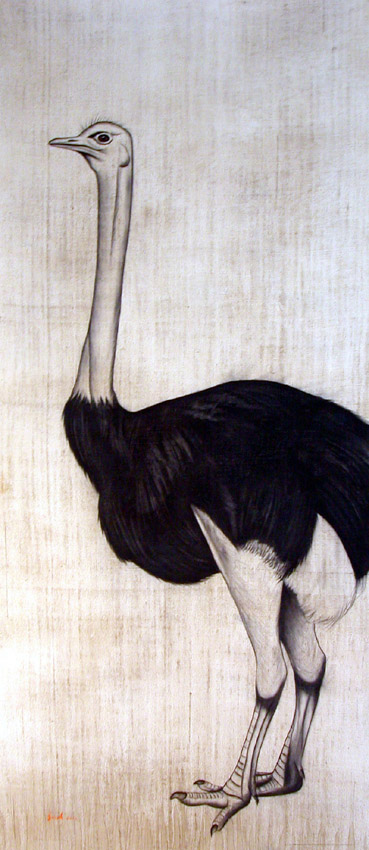 Autruche ostrich Thierry Bisch Contemporary painter animals painting art  nature biodiversity conservation Monaco Prince-Albert Prince-Albert-of-Monaco 