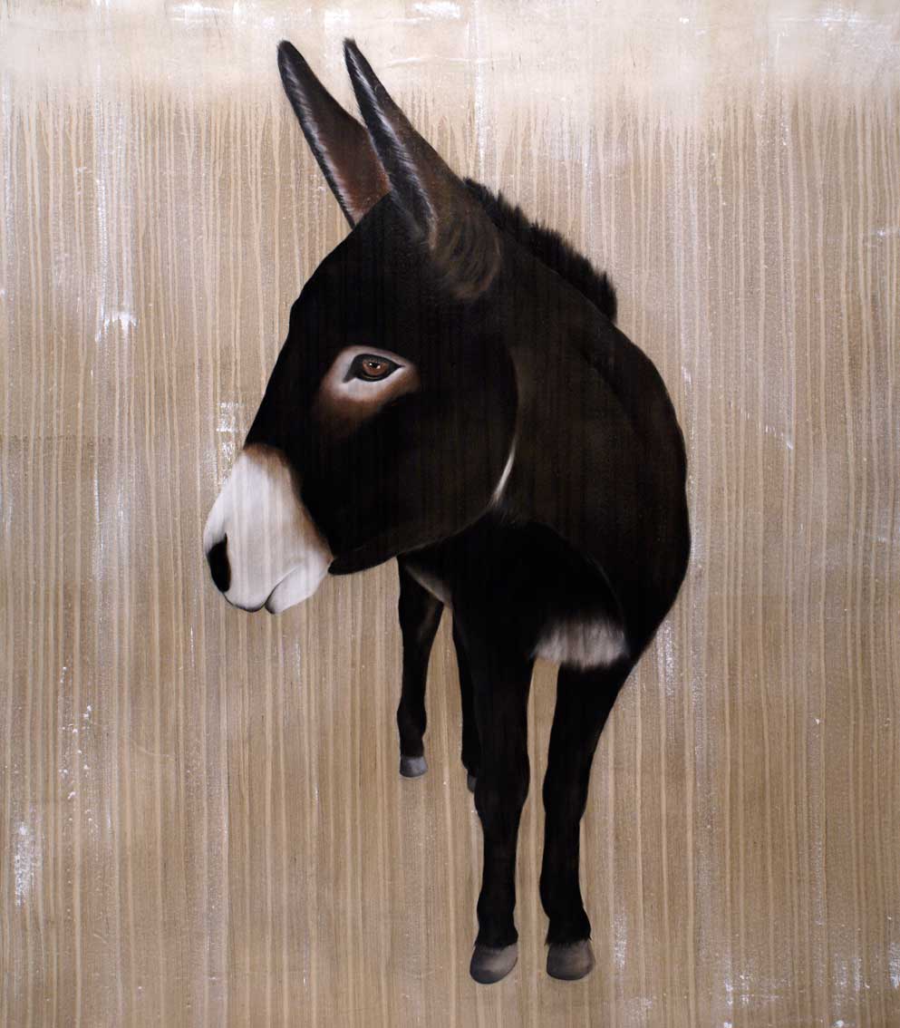 Kali donkey Thierry Bisch Contemporary painter animals painting art  nature biodiversity conservation Monaco Prince-Albert Prince-Albert-of-Monaco 