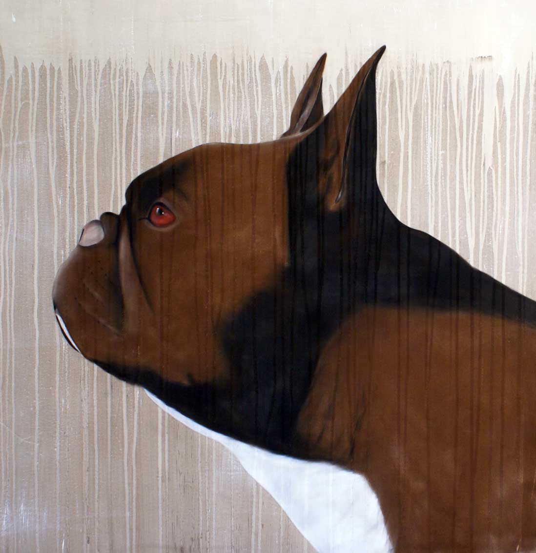 Bouledogue-francais-01 bulldog-french-bulldog-frenchie-pet Thierry Bisch Contemporary painter animals painting art  nature biodiversity conservation Monaco Prince-Albert Prince-Albert-of-Monaco 