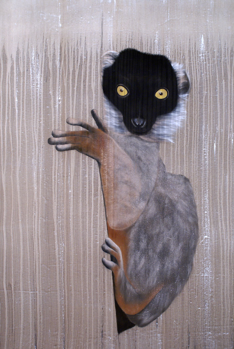 Collared Brown Lemur lemur Thierry Bisch Contemporary painter animals painting art  nature biodiversity conservation Monaco Prince-Albert Prince-Albert-of-Monaco 