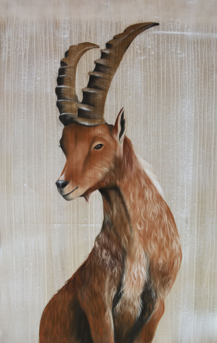 BOUQUETIN IBEX Thierry Bisch Contemporary painter animals painting art decoration nature biodiversity conservation