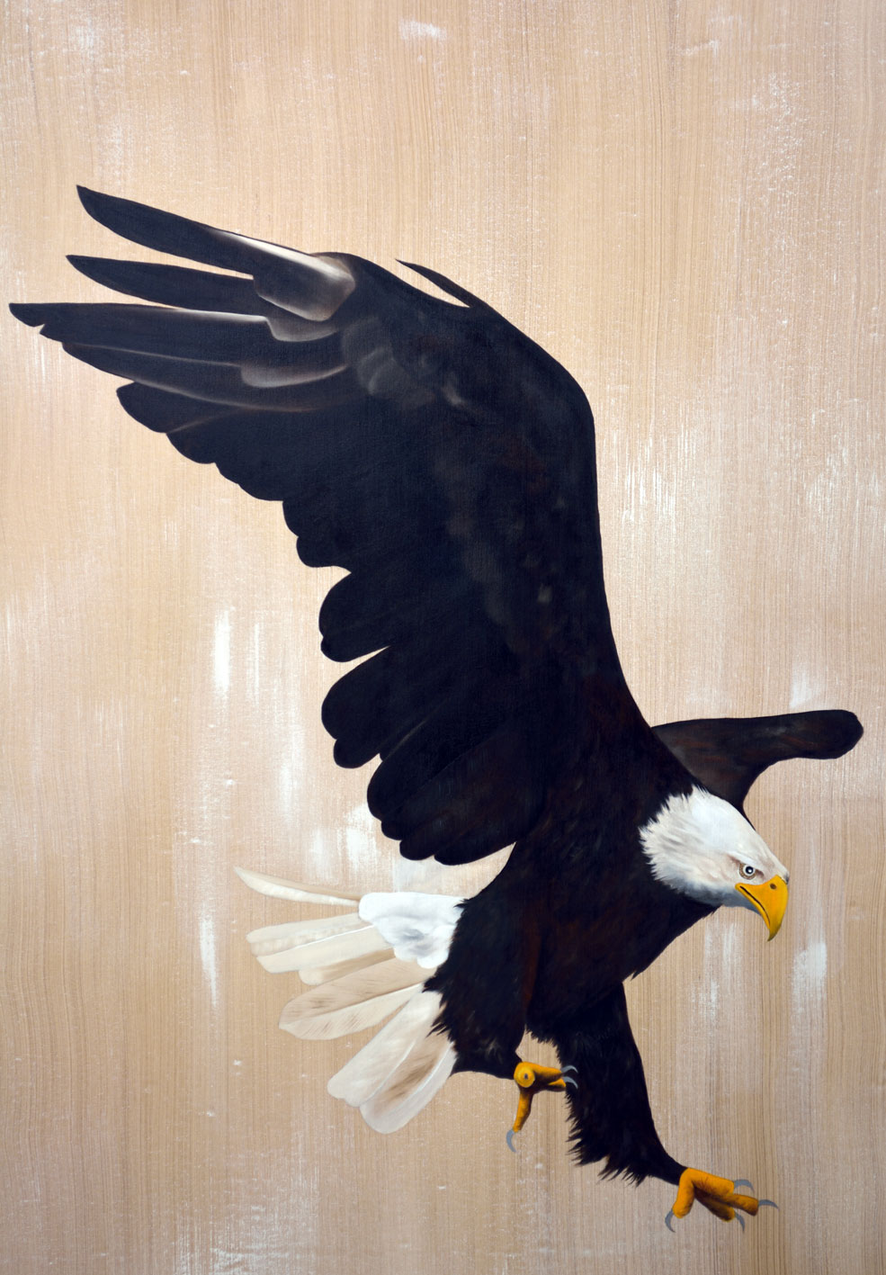 BALD-EAGLE bald-eagle- Thierry Bisch Contemporary painter animals painting art  nature biodiversity conservation Monaco Prince-Albert Prince-Albert-of-Monaco 