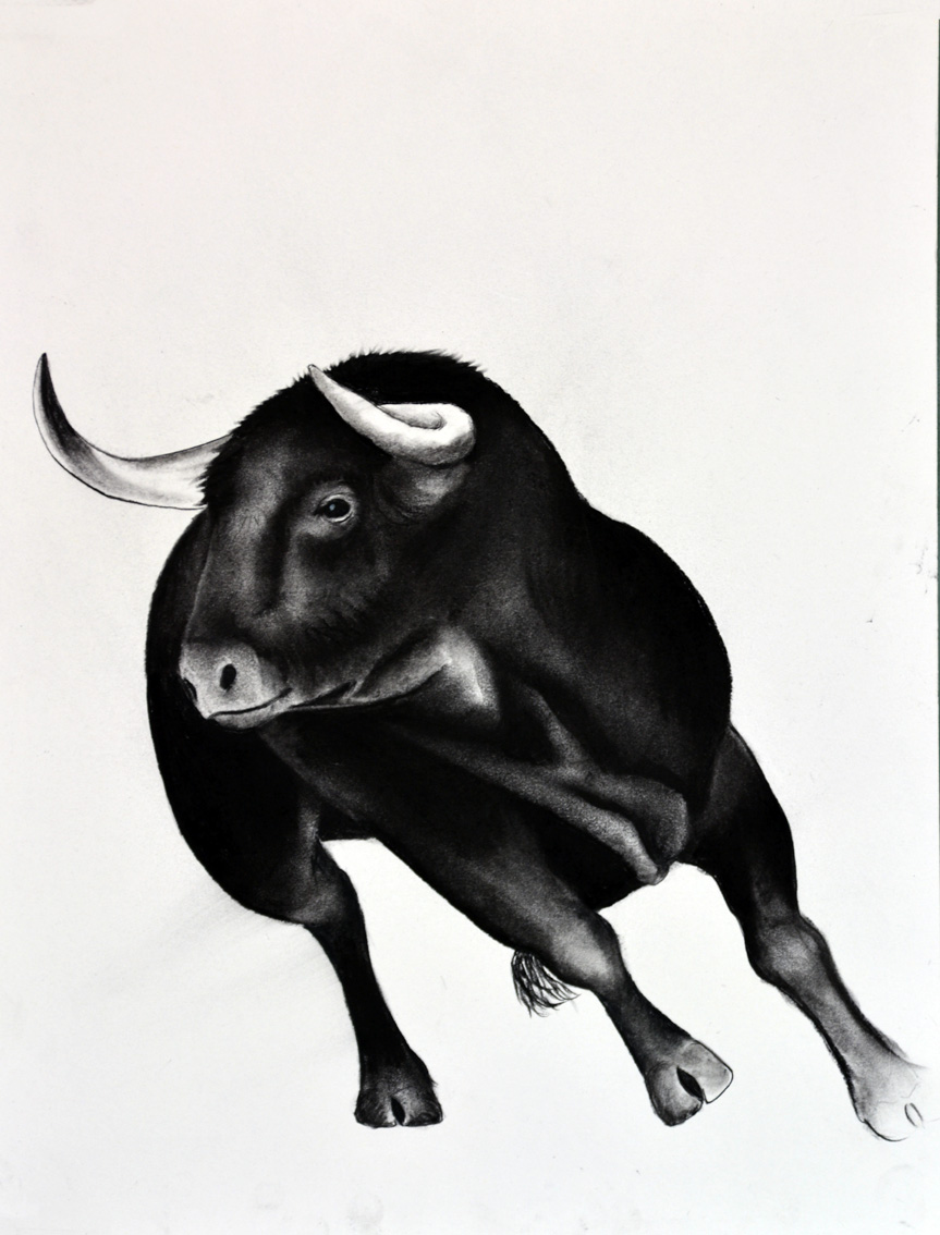 BULL-01 animal-painting Thierry Bisch Contemporary painter animals painting art  nature biodiversity conservation Monaco Prince-Albert Prince-Albert-of-Monaco 