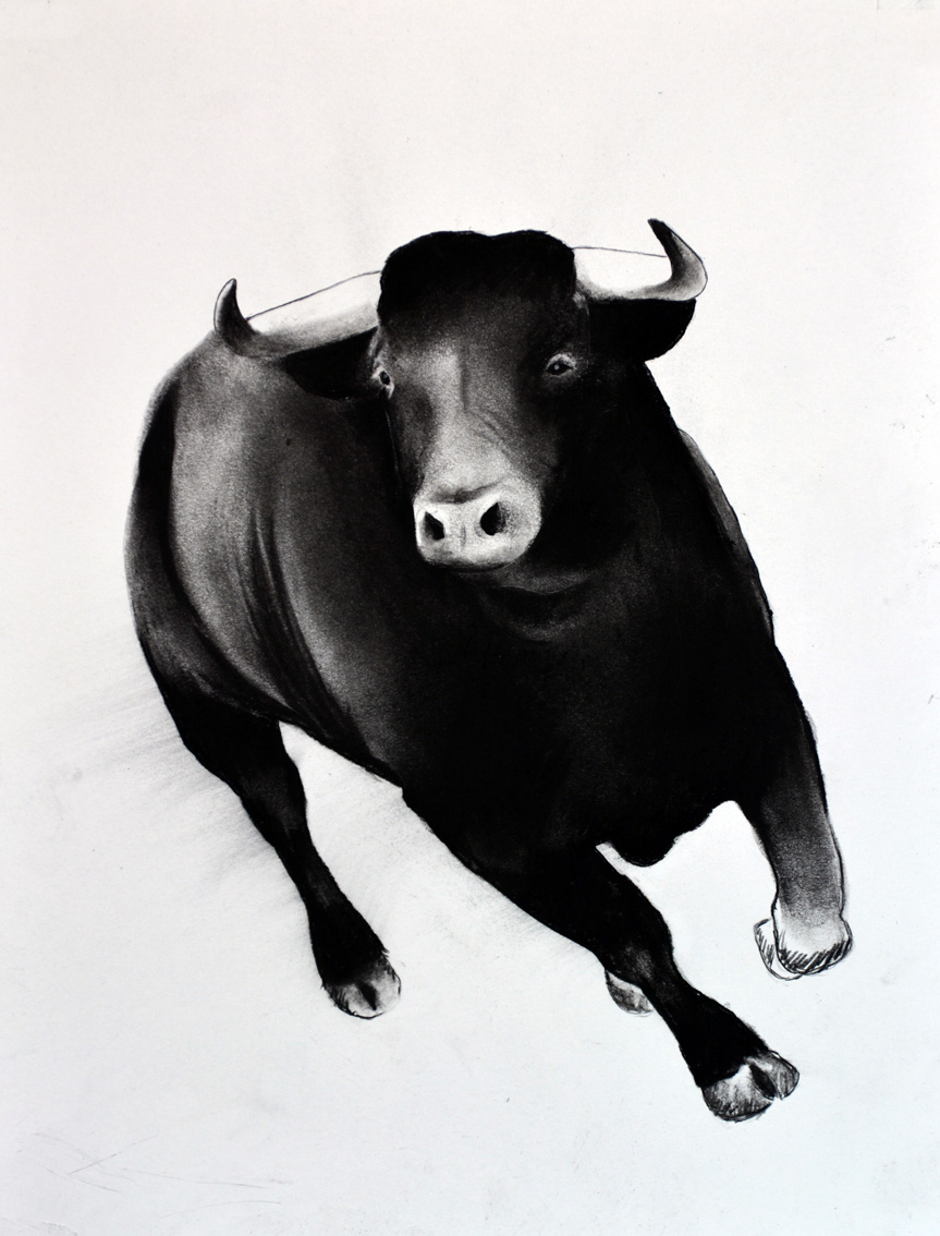 BULL-05 animal-painting Thierry Bisch Contemporary painter animals painting art  nature biodiversity conservation Monaco Prince-Albert Prince-Albert-of-Monaco 