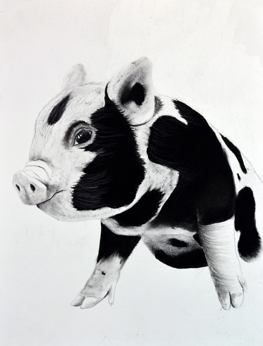 PIGGY-05 animal-painting Thierry Bisch Contemporary painter animals painting art  nature biodiversity conservation Monaco Prince-Albert Prince-Albert-of-Monaco 