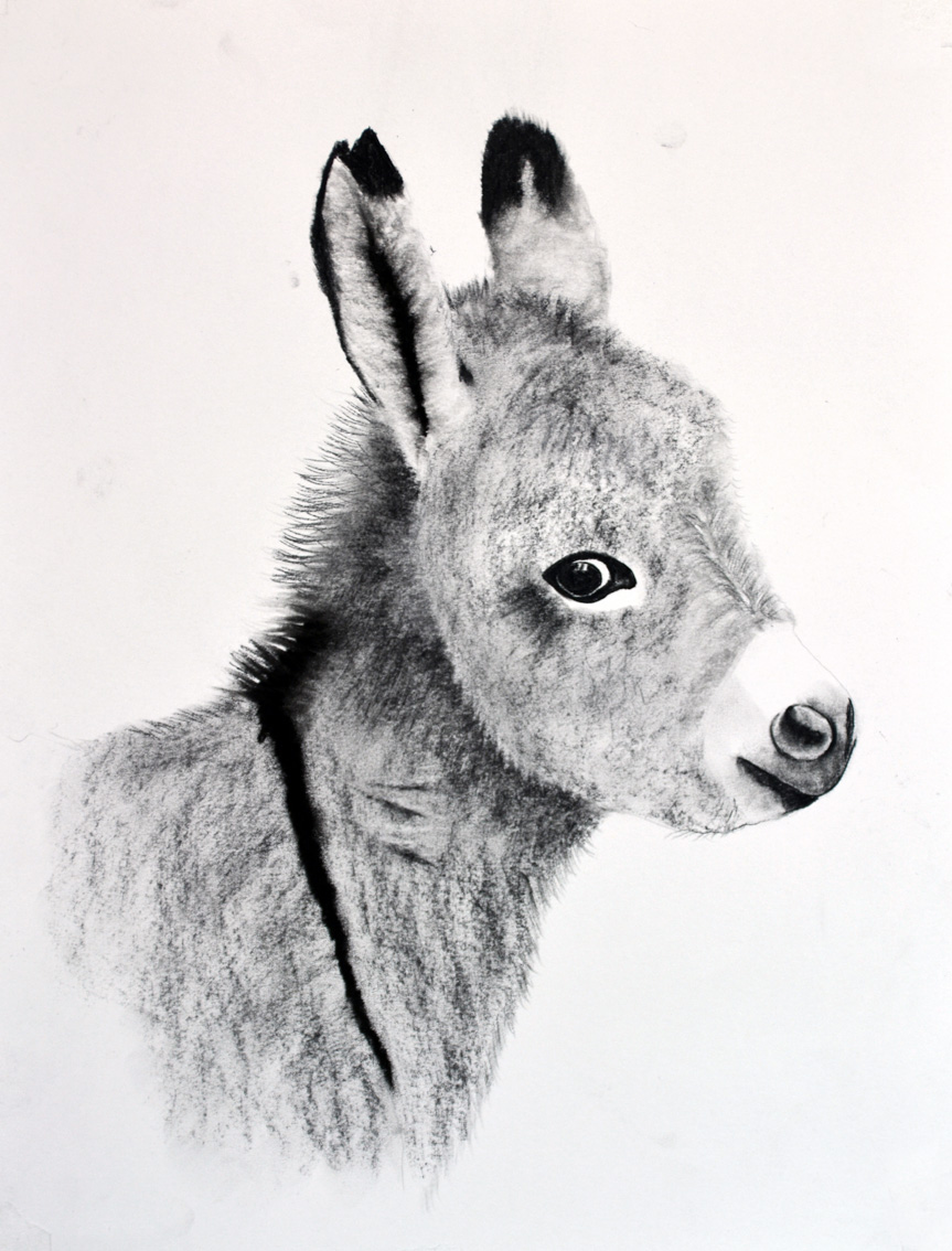 TIT-ANE-05 animal-painting Thierry Bisch Contemporary painter animals painting art  nature biodiversity conservation Monaco Prince-Albert Prince-Albert-of-Monaco 