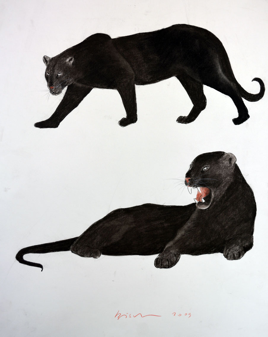 BLACK PANTHERS animal-painting Thierry Bisch Contemporary painter animals painting art  nature biodiversity conservation Monaco Prince-Albert Prince-Albert-of-Monaco 