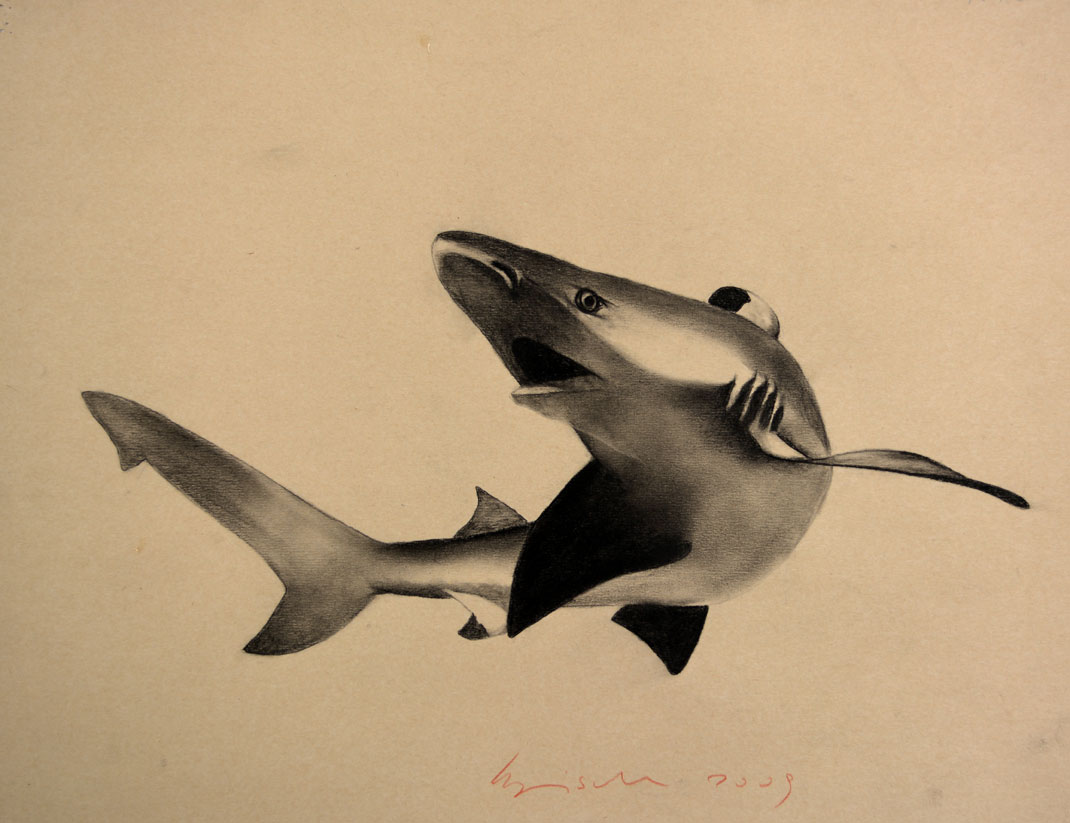 SHARK animal-painting Thierry Bisch Contemporary painter animals painting art  nature biodiversity conservation Monaco Prince-Albert Prince-Albert-of-Monaco 