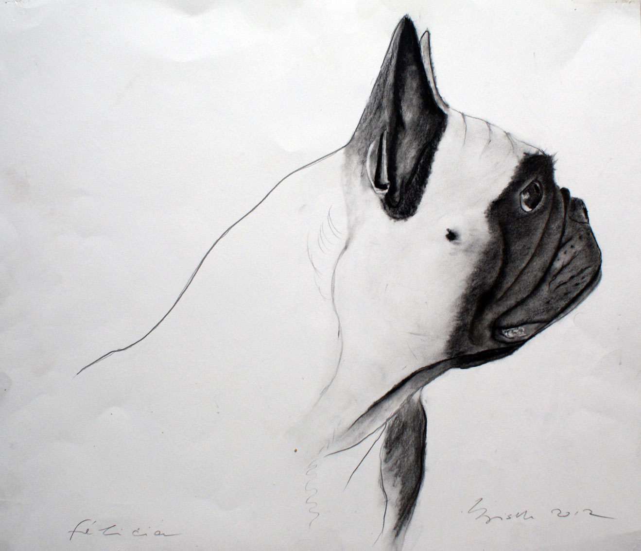 FELICIA animal-painting Thierry Bisch Contemporary painter animals painting art  nature biodiversity conservation Monaco Prince-Albert Prince-Albert-of-Monaco 