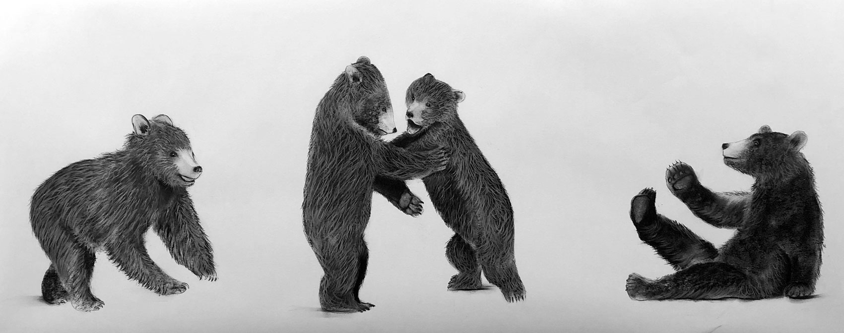 BEAR-CUBS bear-cub-ursus-arctos Thierry Bisch Contemporary painter animals painting art  nature biodiversity conservation Monaco Prince-Albert Prince-Albert-of-Monaco 
