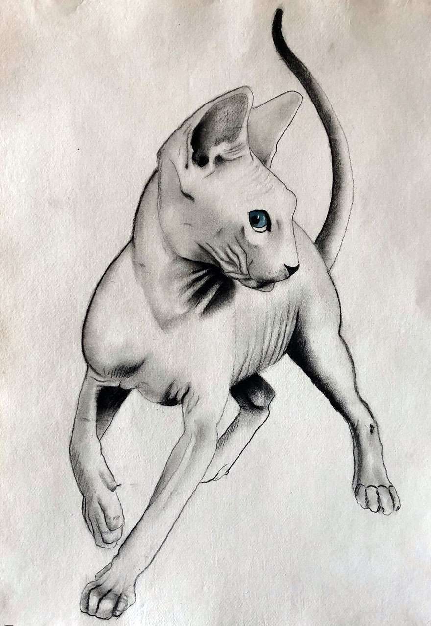 SPHYNX cat-sphynx Thierry Bisch Contemporary painter animals painting art  nature biodiversity conservation Monaco Prince-Albert Prince-Albert-of-Monaco 