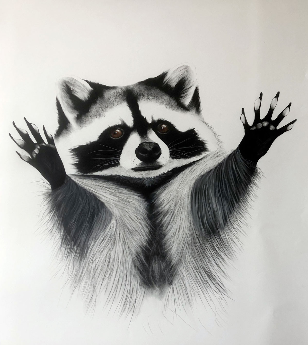 TOUS-VIVANTS racoon-procyon-lotor Thierry Bisch Contemporary painter animals painting art  nature biodiversity conservation Monaco Prince-Albert Prince-Albert-of-Monaco 