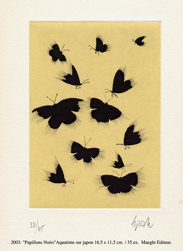 Papillons Butterfly Thierry Bisch Contemporary painter animals painting art  nature biodiversity conservation Monaco Prince-Albert Prince-Albert-of-Monaco 