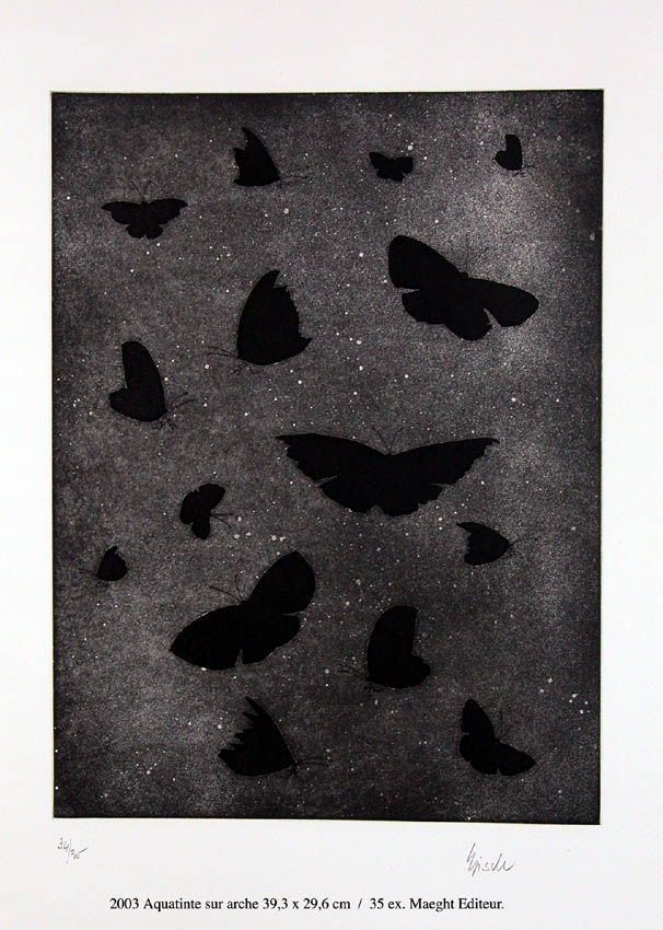 Vols-de-nuit Butterfly Thierry Bisch Contemporary painter animals painting art  nature biodiversity conservation Monaco Prince-Albert Prince-Albert-of-Monaco 
