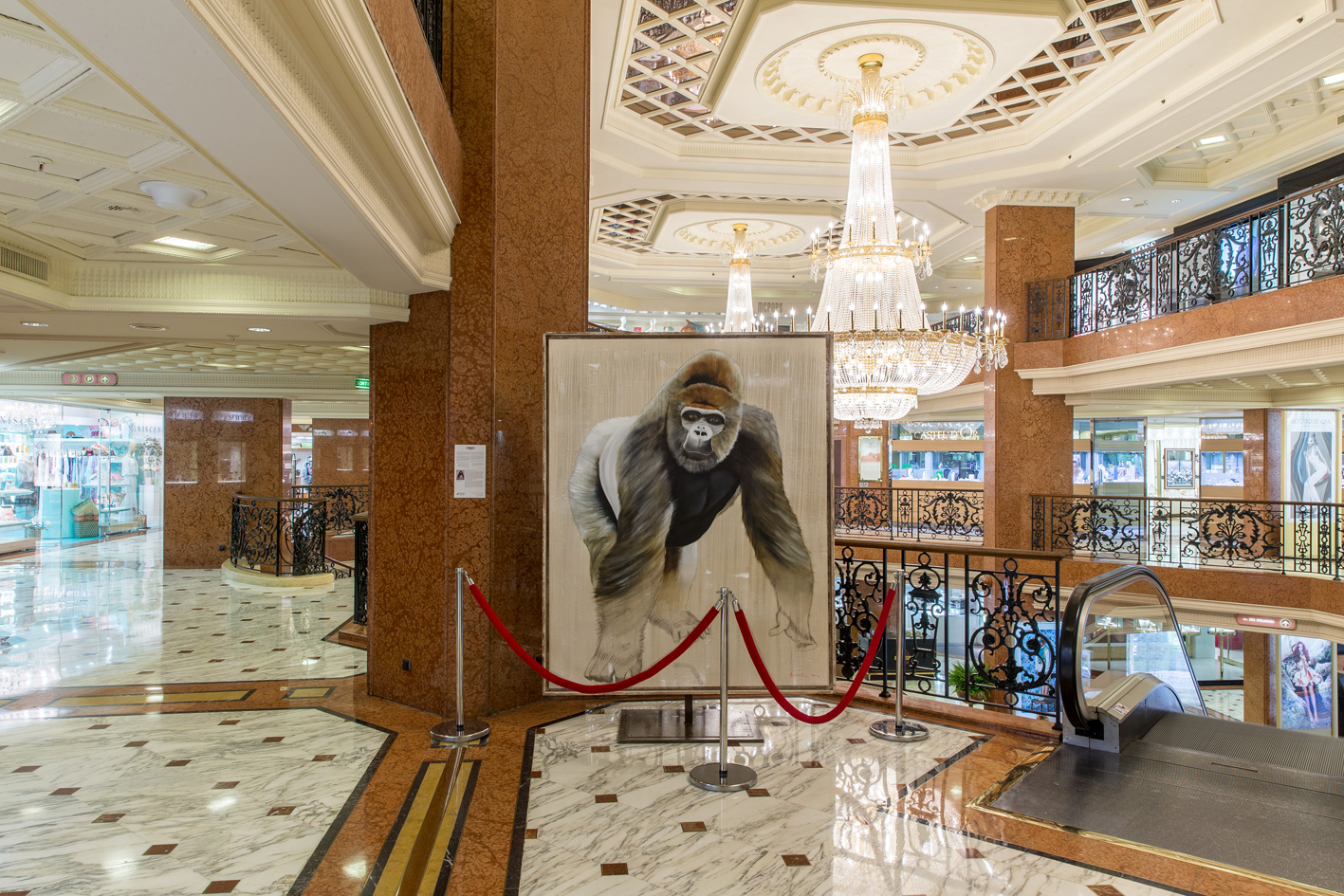 CENTRE METROPOLE MONACO gorilla-ape-silverback-threatened-endangered-extinction Thierry Bisch Contemporary painter animals painting art  nature biodiversity conservation Monaco Prince-Albert Prince-Albert-of-Monaco 