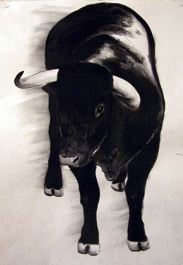 Chaco bull Thierry Bisch Contemporary painter animals painting art  nature biodiversity conservation Monaco Prince-Albert Prince-Albert-of-Monaco 