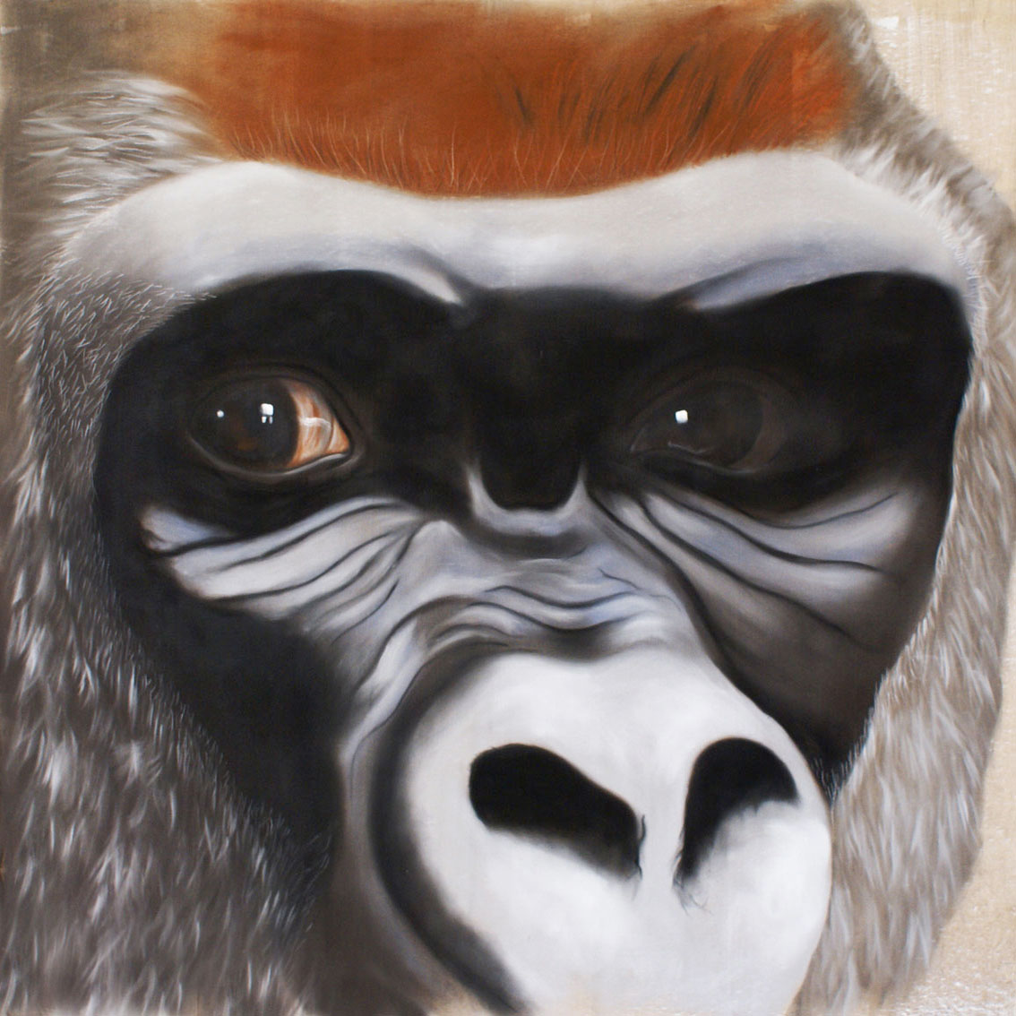 SILVERBACK monkey-ape Thierry Bisch Contemporary painter animals painting art  nature biodiversity conservation Monaco Prince-Albert Prince-Albert-of-Monaco 