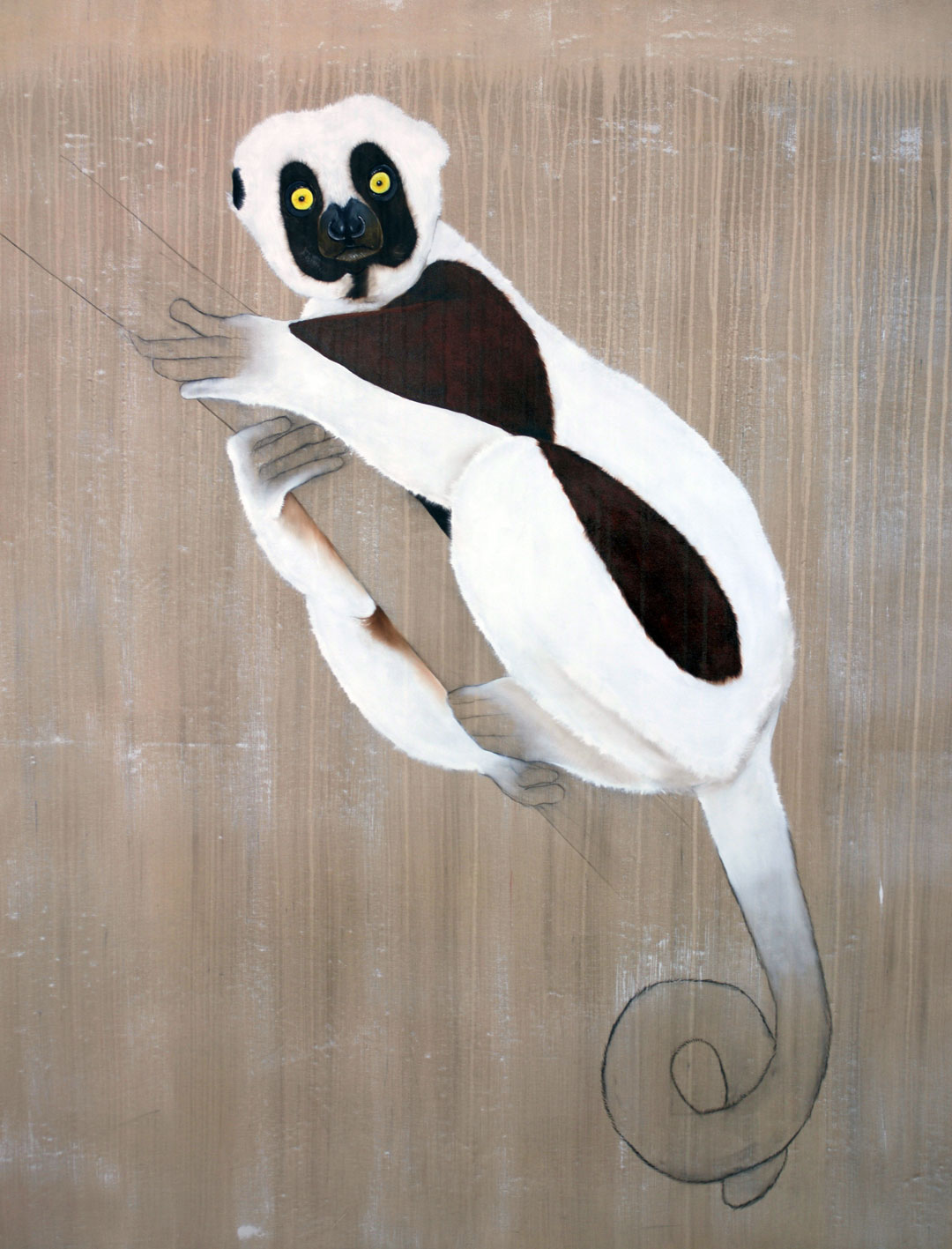 Propithecus coquereli sifaka-coquereli-lemur-threatened-endangered-extinction Thierry Bisch Contemporary painter animals painting art  nature biodiversity conservation Monaco Prince-Albert Prince-Albert-of-Monaco 