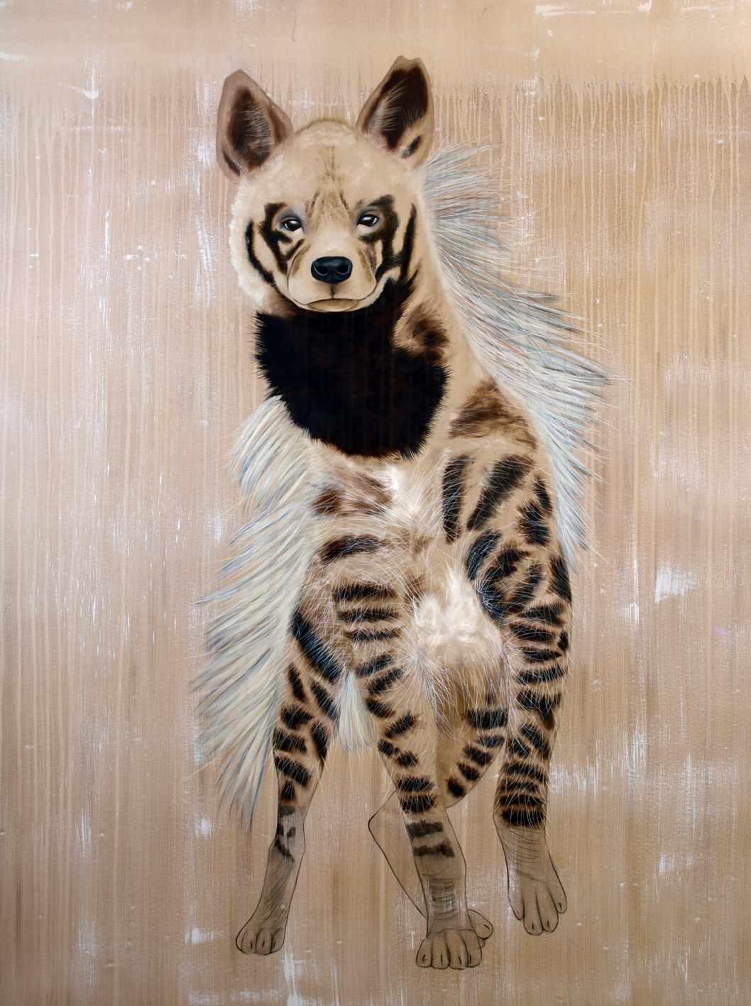 HYAENA hyaena striped-hyena-hyaena Thierry Bisch Contemporary painter animals painting art  nature biodiversity conservation Monaco Prince-Albert Prince-Albert-of-Monaco 