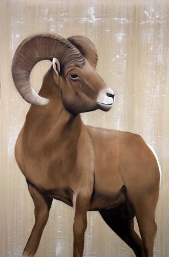  Mouflon Thierry Bisch artiste peintre contemporain animaux tableau art décoration biodiversité conservation 