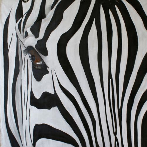 Zebre シマウマ 