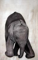 BB Elephant Elephant-baby Thierry Bisch Contemporary painter animals painting art  nature biodiversity conservation