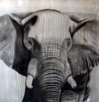 ELEPHANT-5 Elephant Thierry Bisch Contemporary painter animals painting art  nature biodiversity conservation