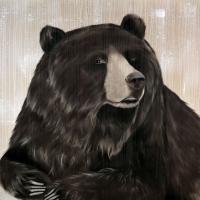 GRIZZLY BEAR ours-brun-grizzly Thierry Bisch artiste peintre animaux tableau art  nature biodiversité conservation 