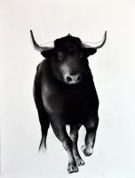 BULL-06 peinture-animalière Thierry Bisch artiste peintre animaux tableau art  nature biodiversité conservation 
