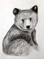 BEAR-CUB-3 ours-ourson-petit- Thierry Bisch artiste peintre animaux tableau art  nature biodiversité conservation 