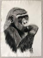 MADAME-GORILLE gorilla Thierry Bisch Contemporary painter animals painting art  nature biodiversity conservation