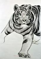 PANTHERA-TIGRIS tigre-panthera-tigris Thierry Bisch artiste peintre animaux tableau art  nature biodiversité conservation 