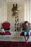 Girafe Girafe Thierry Bisch artiste peintre animaux tableau art  nature biodiversité conservation 